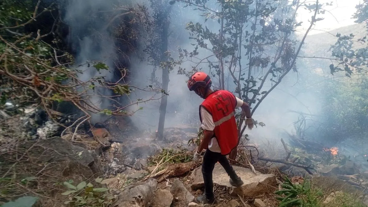 Ecuador intel chief, five Americans killed in Kenya helicopter crash
