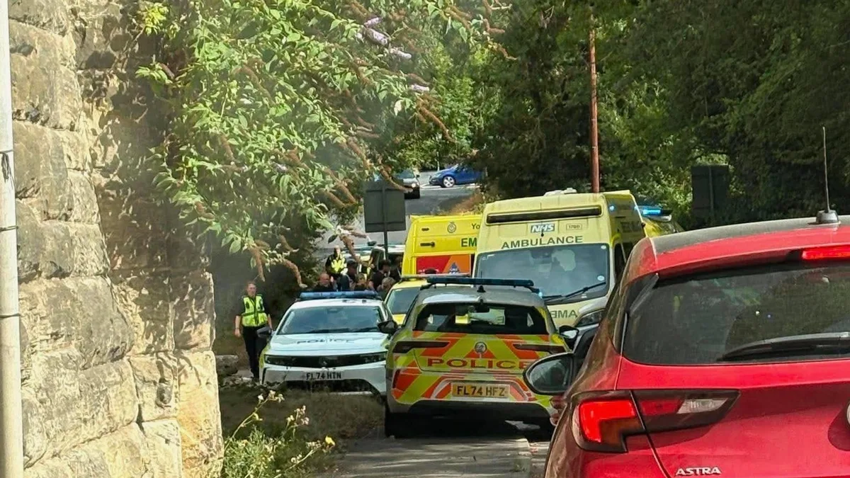 Man bitten by dog during 'altercation' dies