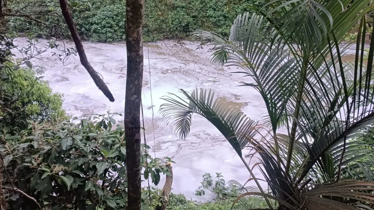 Espuma misteriosa aparece em rio de SC e acende alerta para contaminação