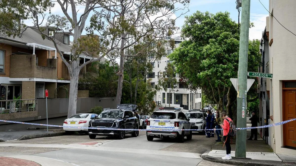 Man armed with gun flees after stolen car torched