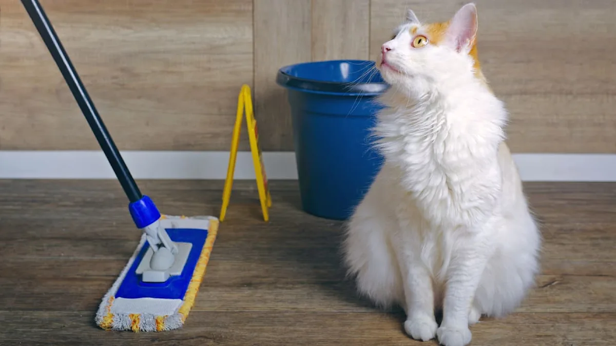 Hund und Katze schützen - Diese Putzmittel könnten Ihr Haustier töten