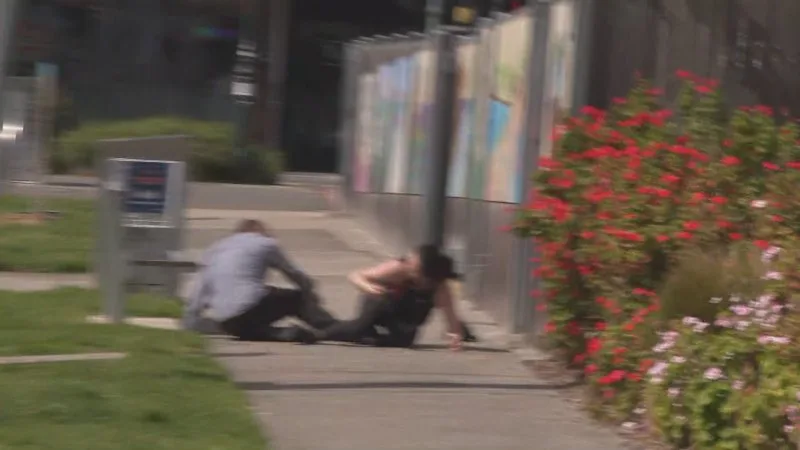 Police called to One Nation event after clash