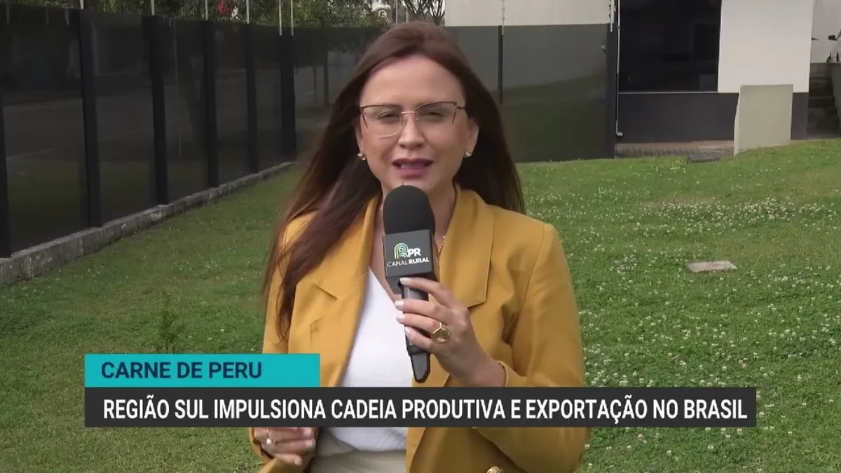 Crescimento da produção de carne de peru no Brasil impulsiona exportações