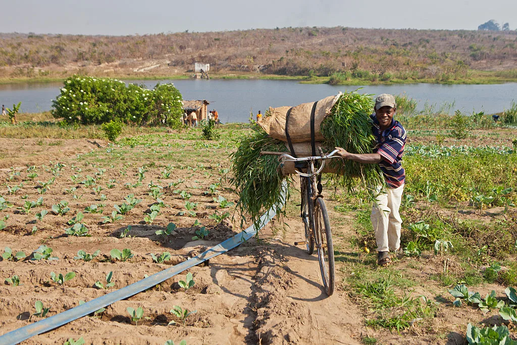 Will Africa's Next Growth Story Start on the Farm?