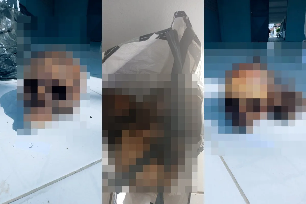 Crânios encontrados com paciente em Caps foram retirados de sepulturas