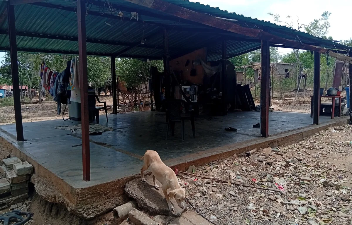 Habitantes de la parroquia Montaña Verde en Lara siguen sin viviendas a casi un año del sismo