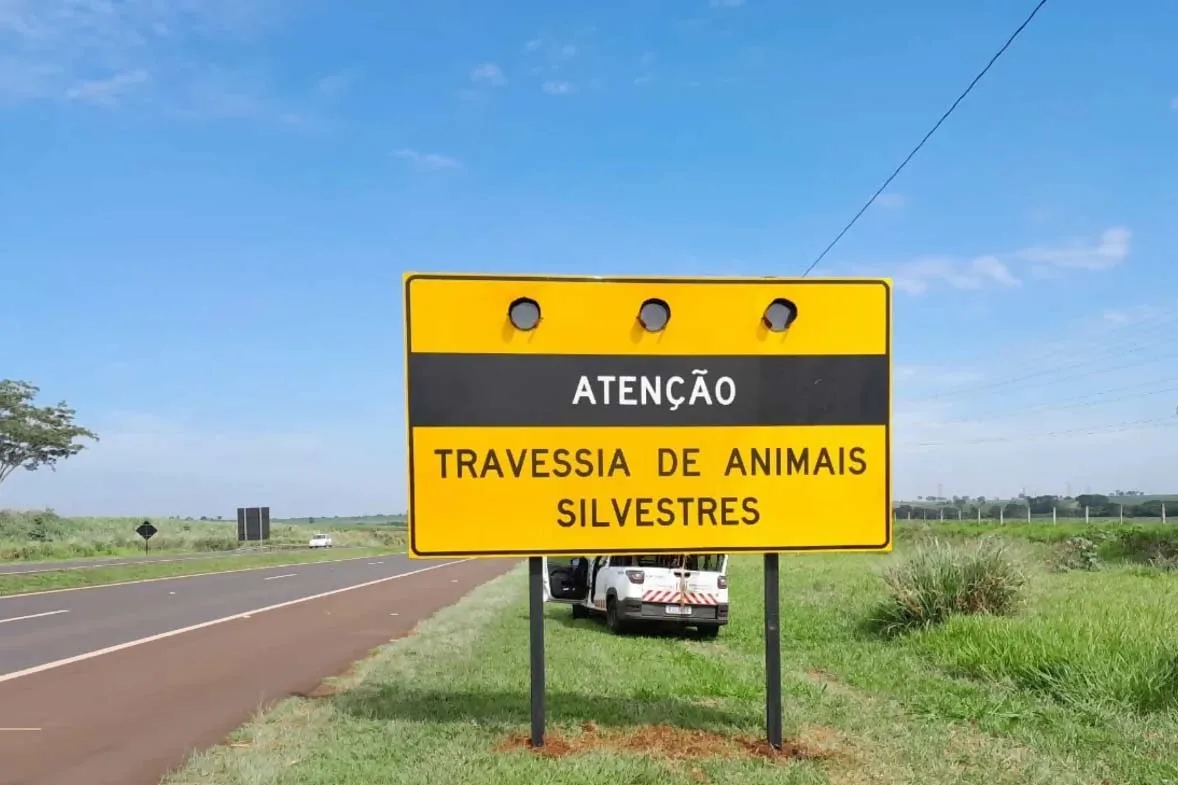 Feriado prolongado no Paraná: Vai pegar a estrada? Veja os cuidados com a fauna silvestre