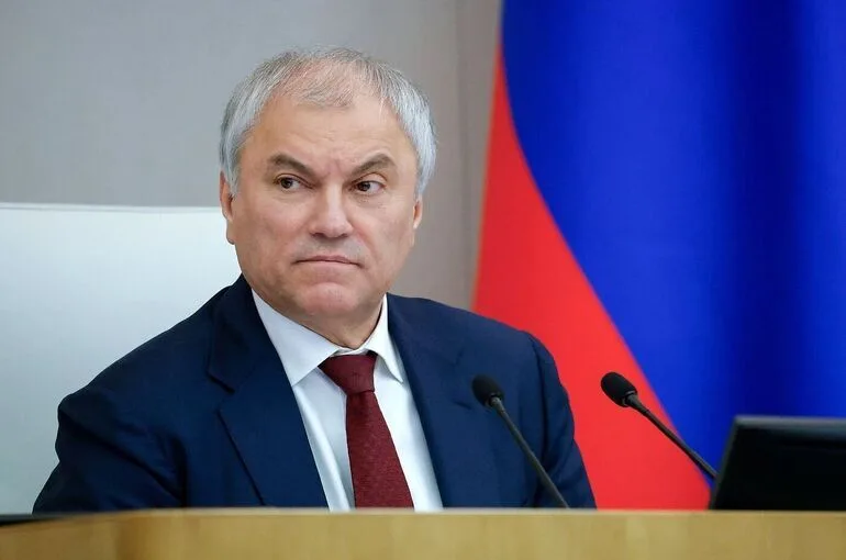 Володин избран сопредседателем Межпарламентской группы РФ