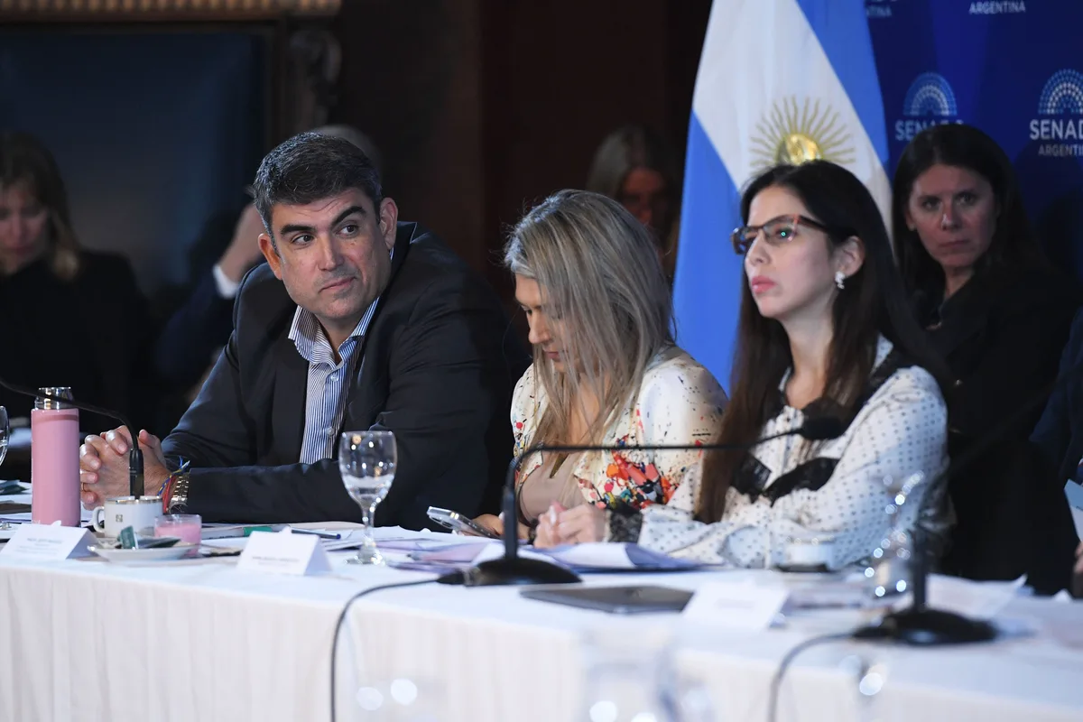 En plena puja con los aliados, el Gobierno busca acelerar un acuerdo en el Senado para cambiar la ley de salud mental