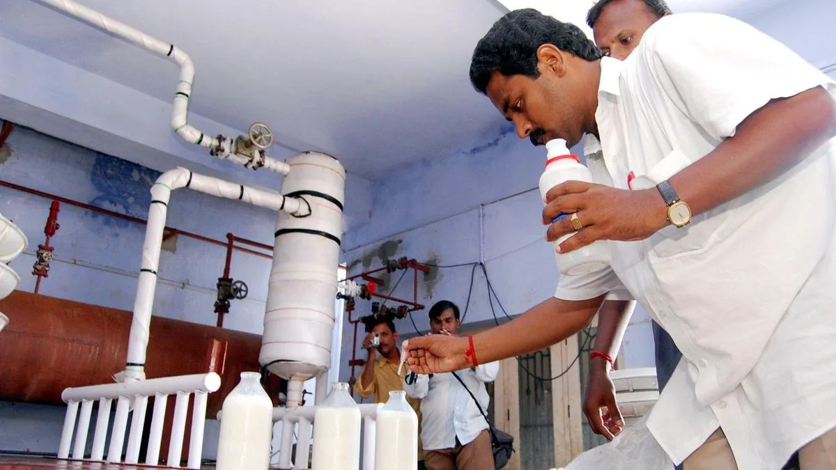 Who’s watching what we eat? Inside India’s food adulteration problem