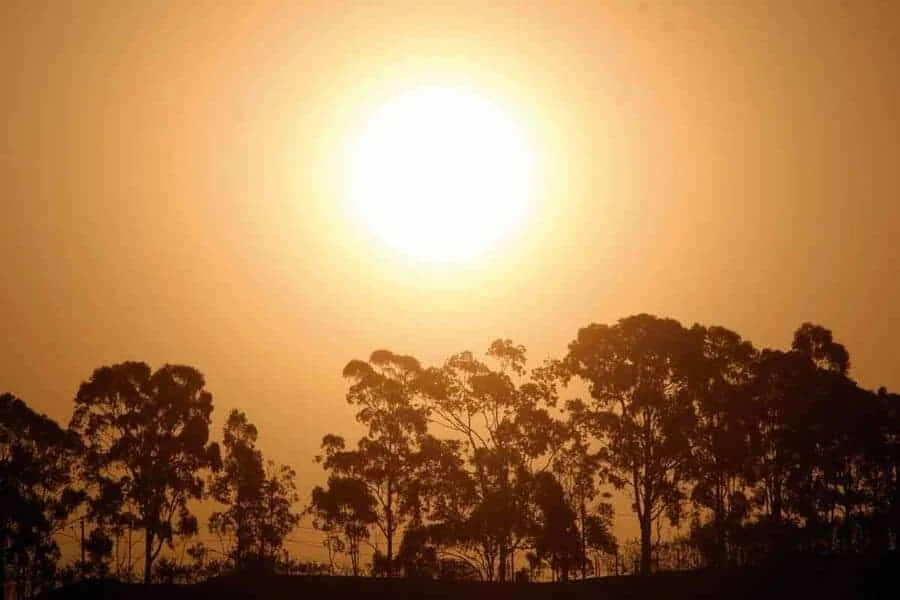 Prefeito Alysson Bestene dá dicas para suportar o calor em Rio Branco