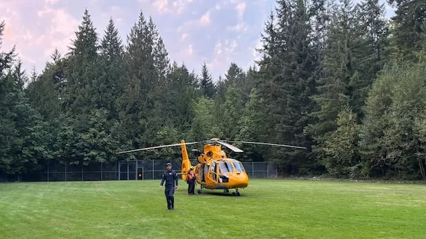 B.C. climber stung by wasps 100 times, rescued by helicopter