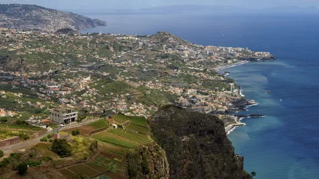 Investigadores medem biodiversidade na zona entremarés da Madeira