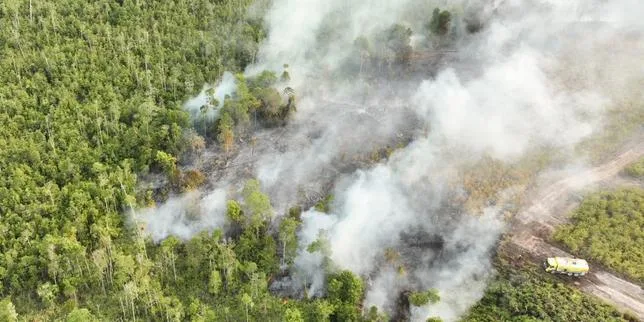 Incendies en Indonésie : 1 500 soldats supplémentaires vont être déployés à Bornéo pour lutter contre les feux de forêt