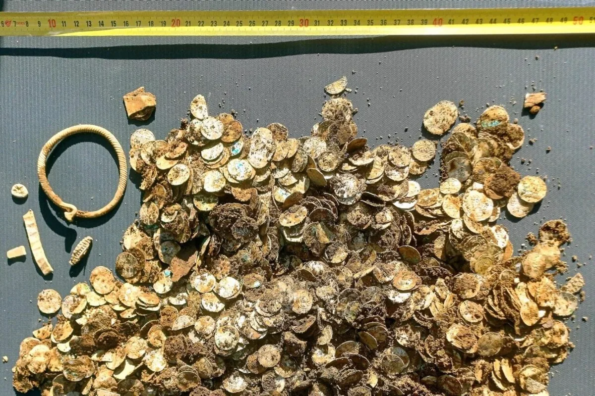 A Metal Detectorist Just Discovered Finland’s Largest Hoard of Viking Age Silver—But Was It Plunder?