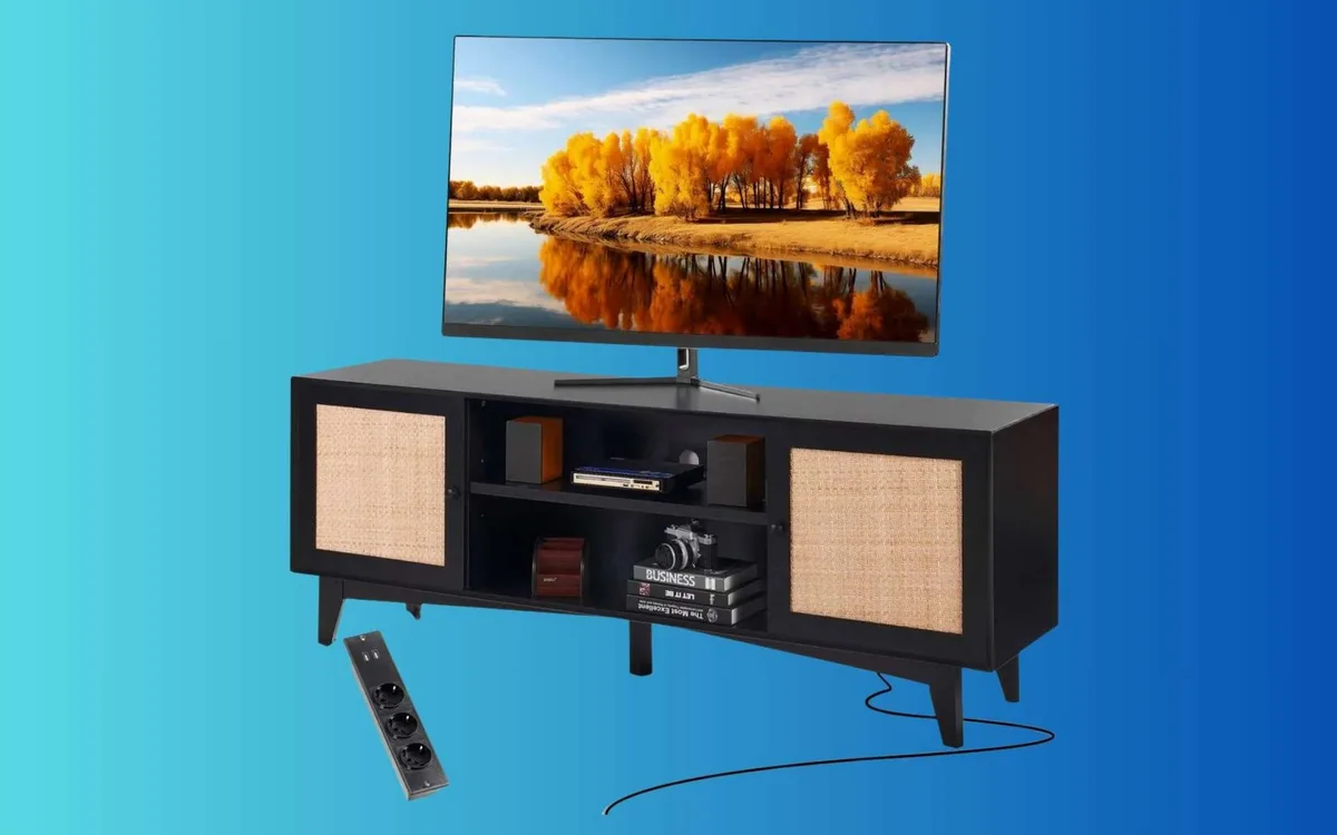 Un salon qui a du style sans se ruiner ? VEVOR brade ce meuble TV en rotin !