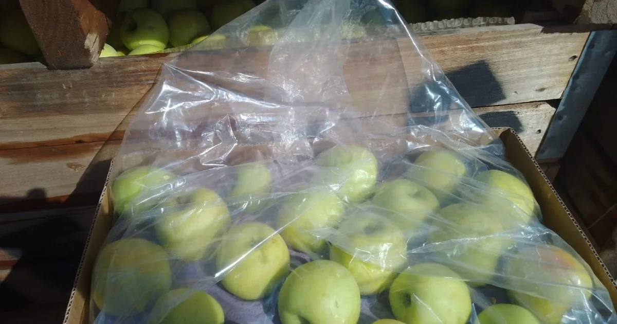 Una herramienta con sello patagónico que busca darle más tiempo de conservación y calidad a la fruta en frío