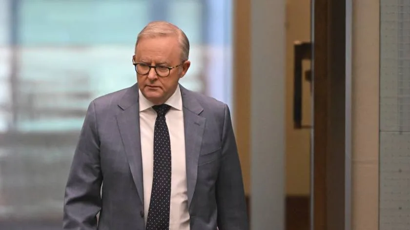 Albanese echoes ‘outrage’ at IDF clearing soldiers over Zomi Frankcom killing