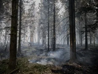 Incendie en Belgique : une ville allemande frontalière partiellement évacuée