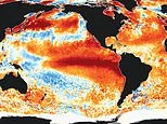 The ominous sign Super El Niño is ramping up: Global ocean temperatures hit a record high - and scientists say the worst is yet to come