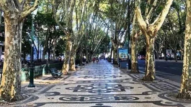 Repavimentação da Avenida da Liberdade em Lisboa começa hoje
