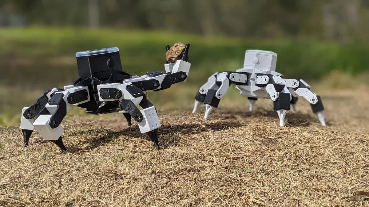 ¿Por qué los robots también van a la escuela?