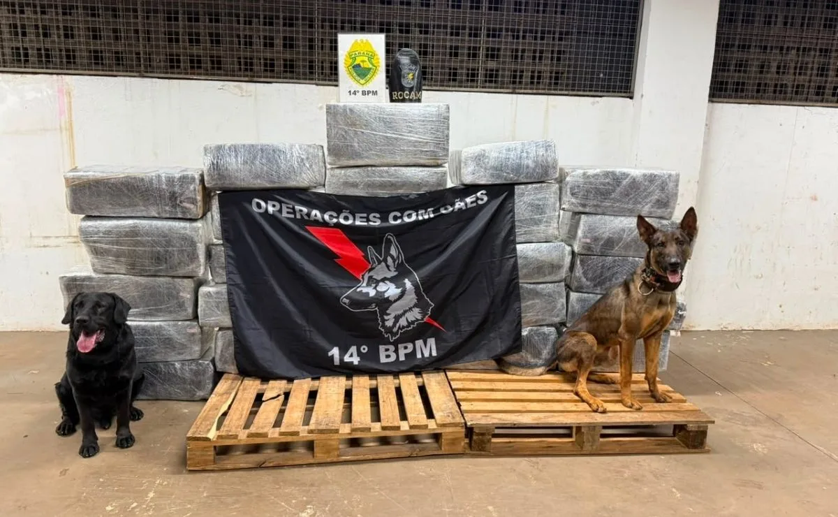 Polícia apreende mais de 700 quilos de maconha escondida em carga de trigo durante operação em Foz do Iguaçu