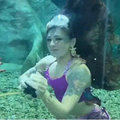 Sereia encanta crianças e ganha até visita de princesa no Bioparque