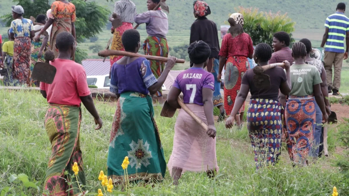 Chinese men warned over bridal scams as marriage squeeze drives search for wives in Africa