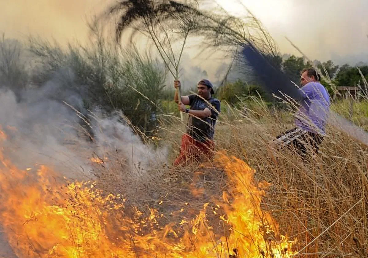 El campo encadena las dos temporadas de incendios más devastadoras de la década, con 36.582 hectáreas agrícolas quemadas