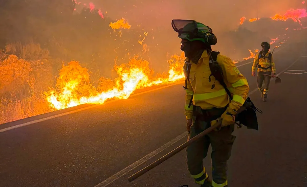 Un estudio detecta cambios en la orina y la sangre de los bomberos 24 horas después de luchar contra un incendio