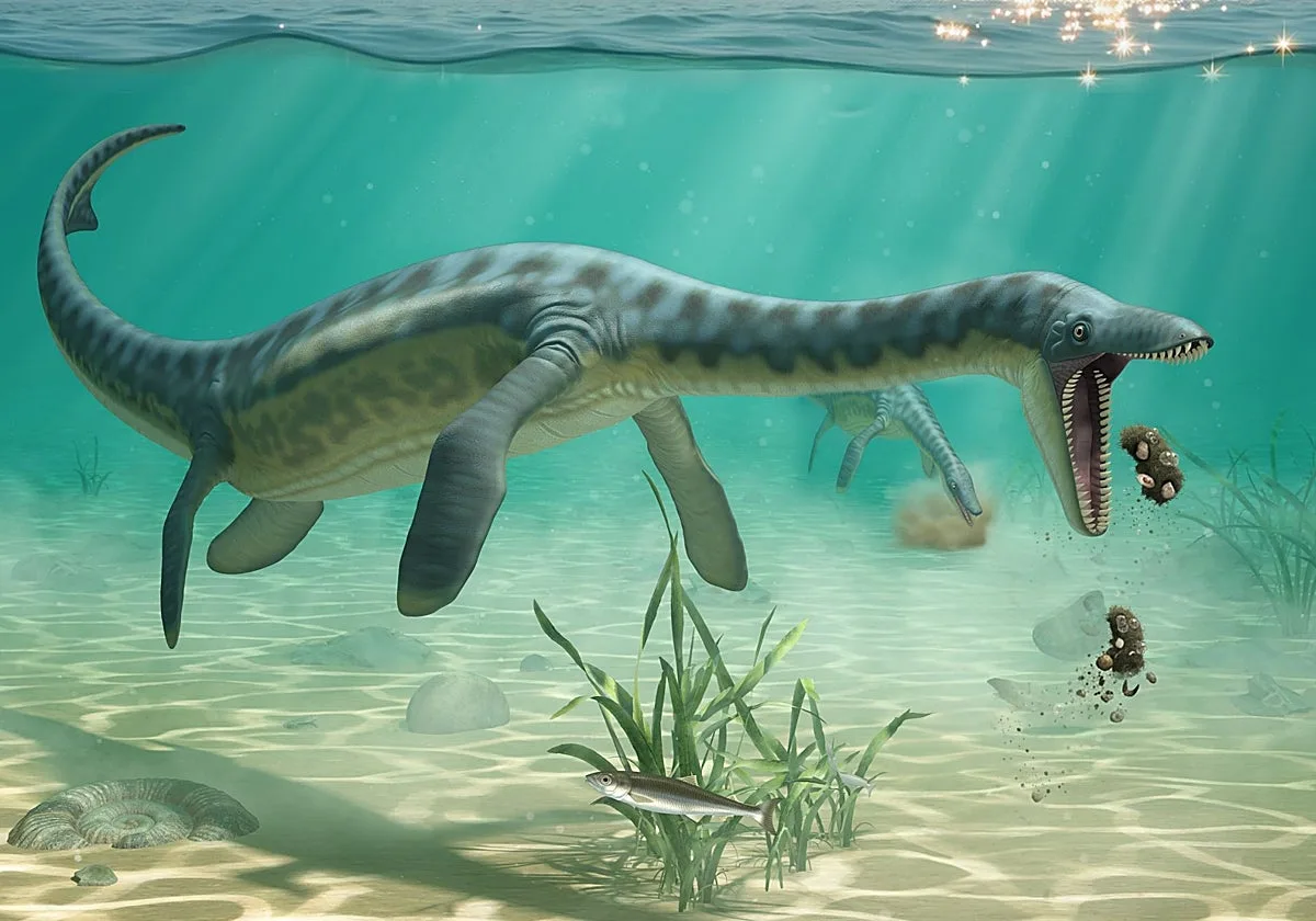 El vómito revela el secreto de los plesiosaurios, los monstruos marinos que regurgitaban a sus víctimas