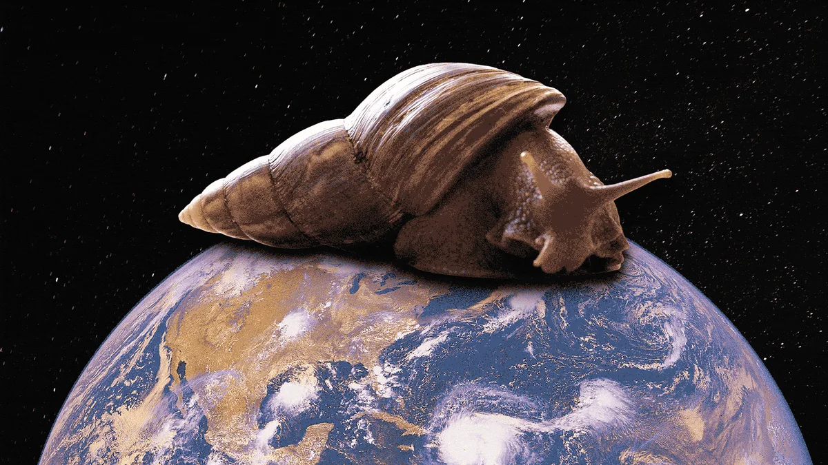 Nine-Inch Snails