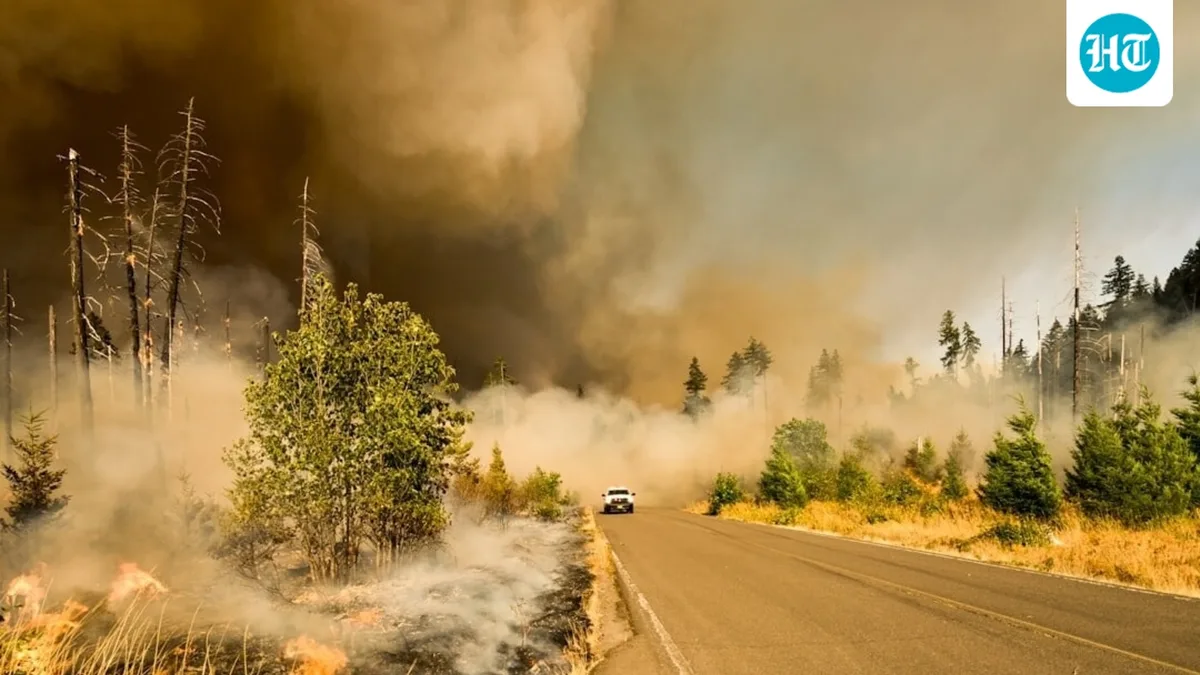 Fire near Davis and Woodland? California Yolo County residents report hazy skies and poor air quality
