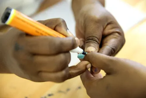 Driven by money or duty? Why South Africa is seeing 43% surge in election candidates