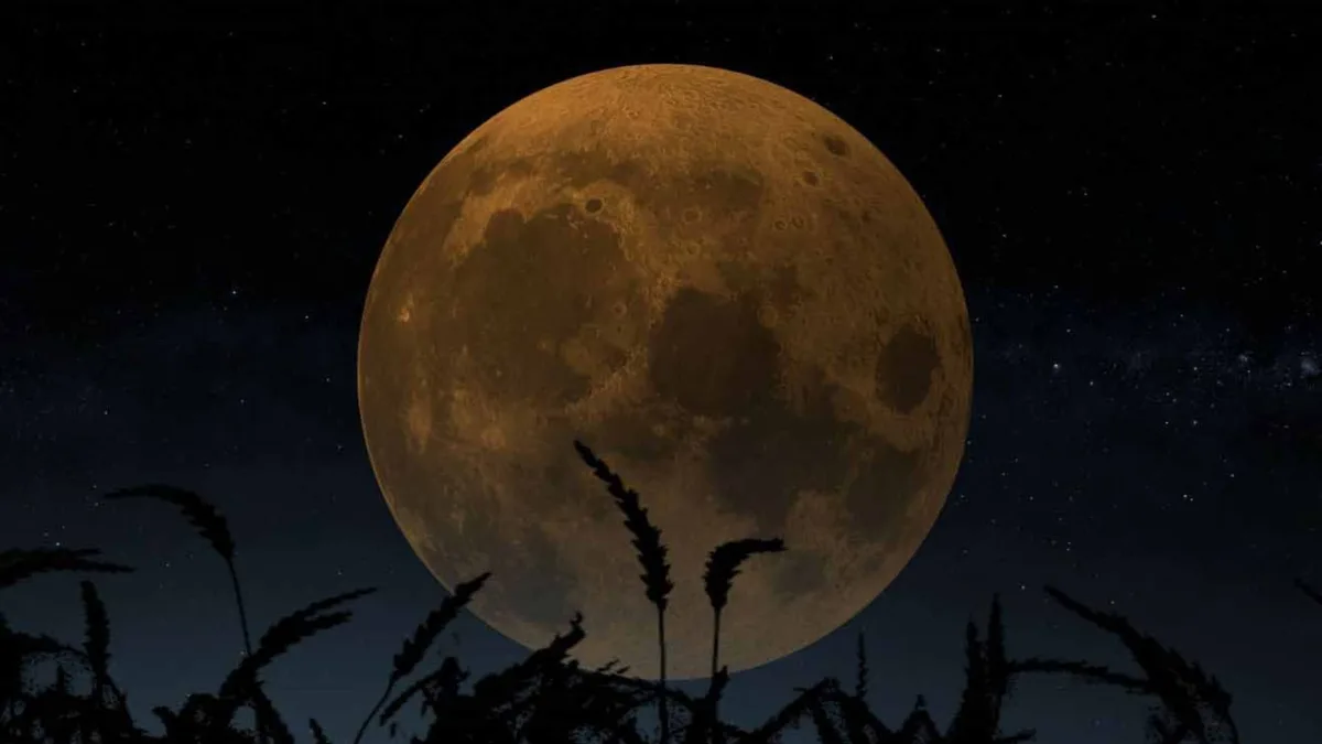 Luna Llena de Cosecha en septiembre 2026: fecha y hora exacta para verla en su punto máximo de tono dorado brillante