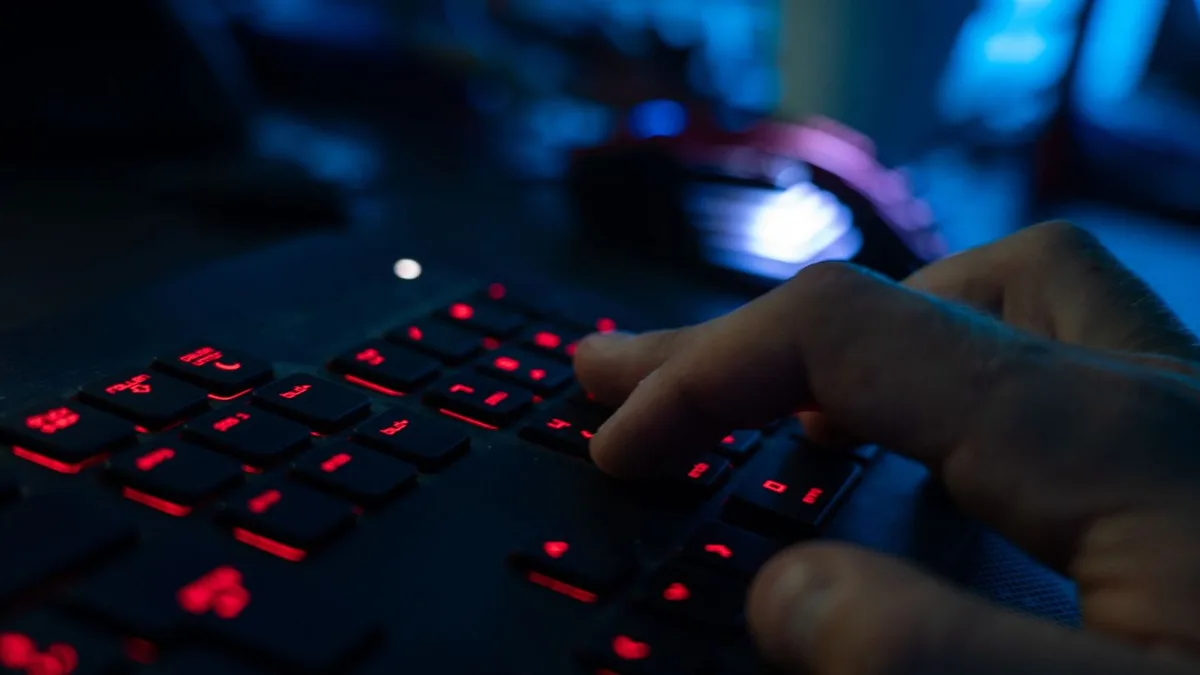 IT-Sicherheit: Senat berät bei Sondersitzung über den Cyberangriff