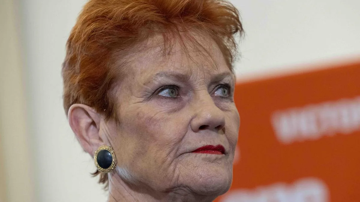 Perth man appears in court charged with threatening to ‘hunt down and kill’ Pauline Hanson
