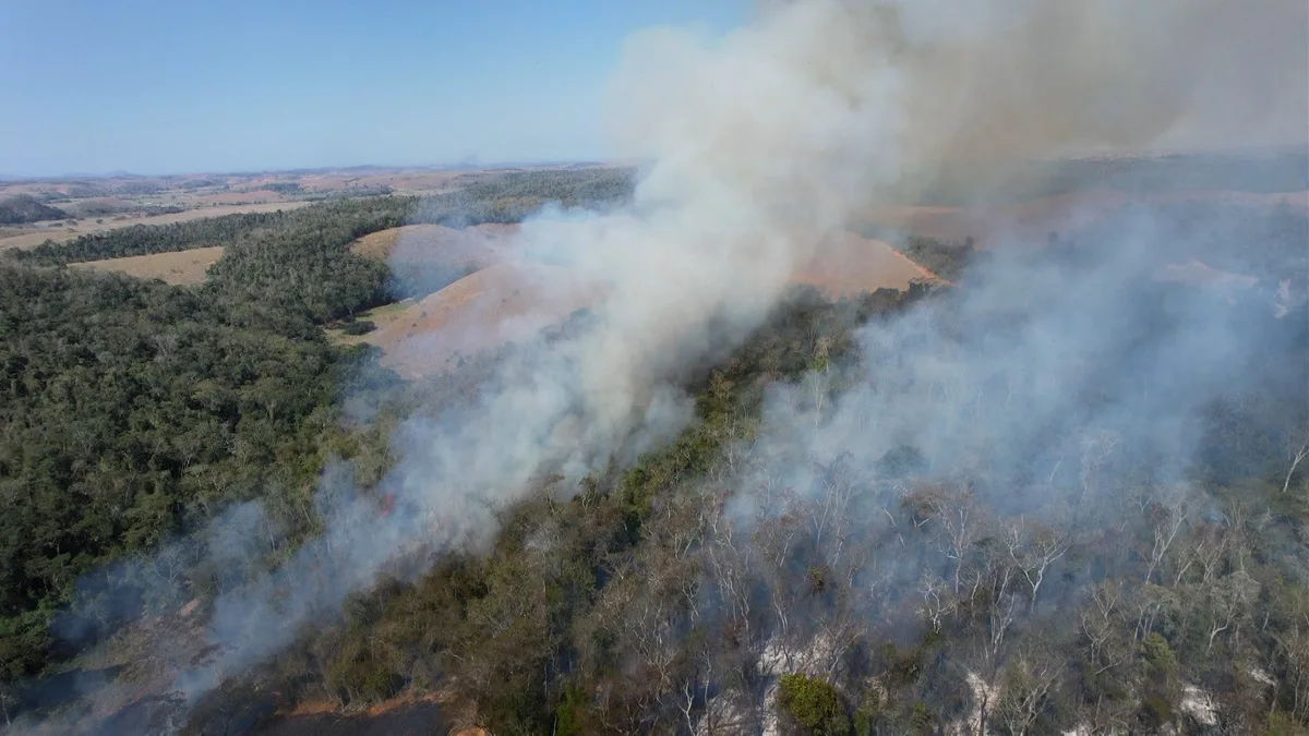 Incêndios no Sul do ES crescem e afetam recuperação do meio ambiente