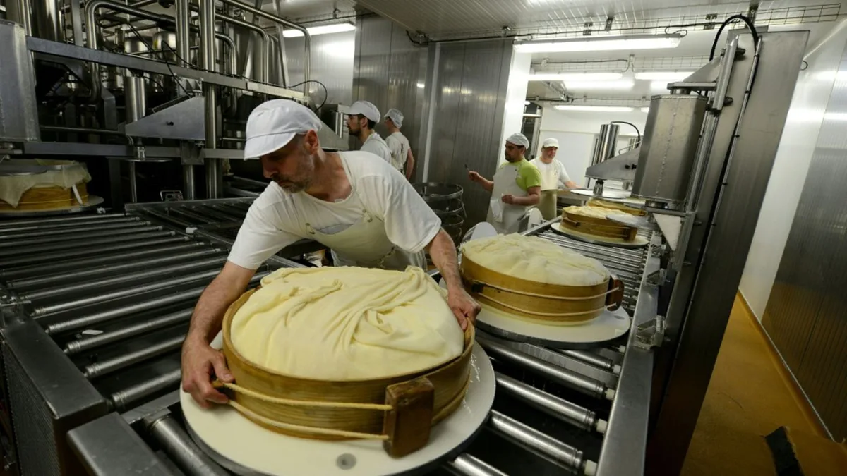 Ausnahmeregeln für Käseproduzenten in Frankreich wegen Dürre
