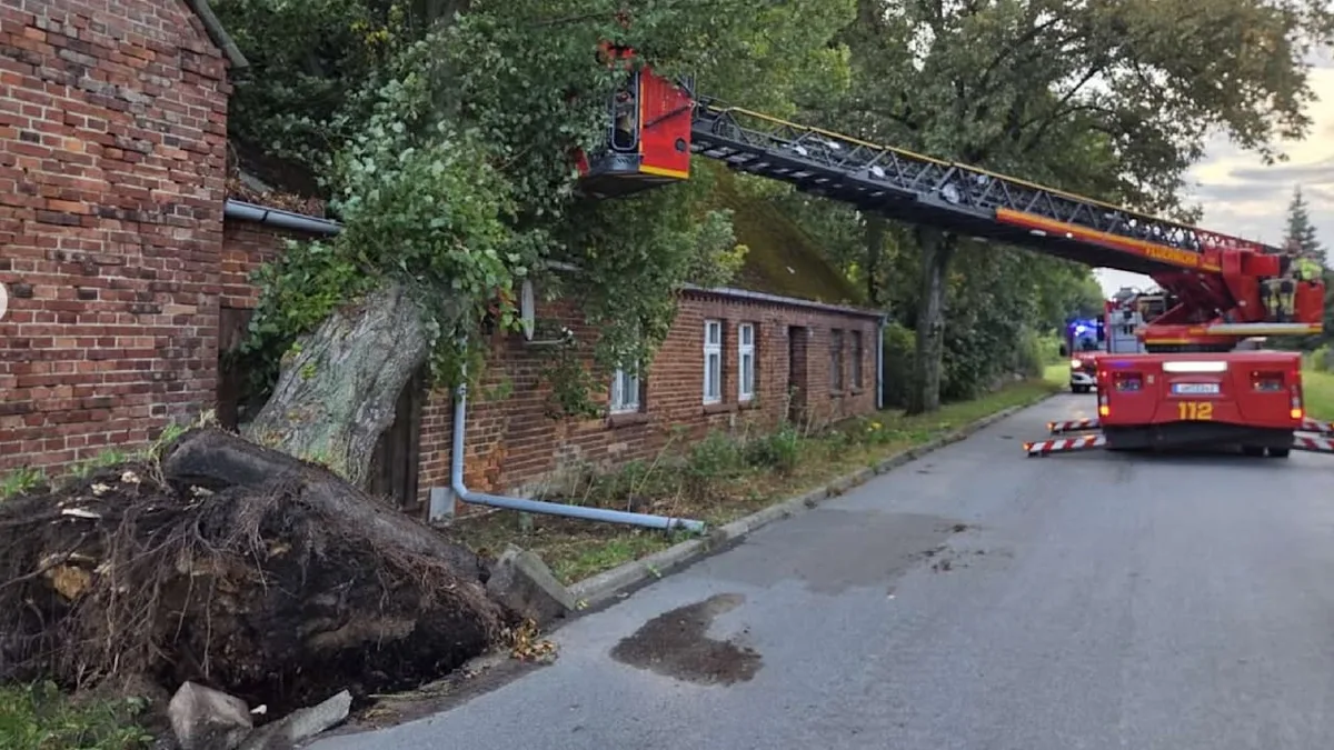 Krisengipfel in Mecklenburg-Vorpommern - Aufräumarbeiten nach Sturm können wochenlang dauern