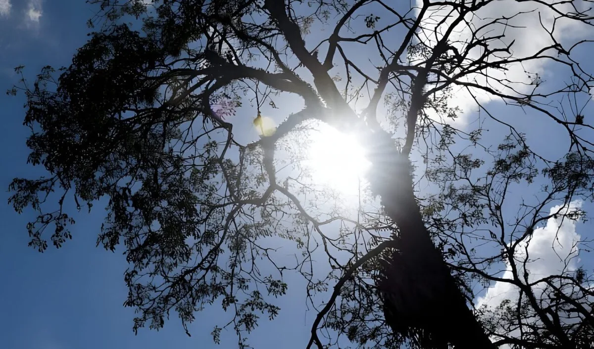 Semana no Paraná começa fria, mas deve terminar quente