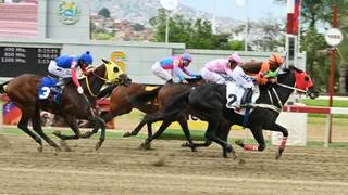Pendiente: Entérate del ejemplar que no es favorito y luce un ajuste para ganar en el 5y6 dominical
