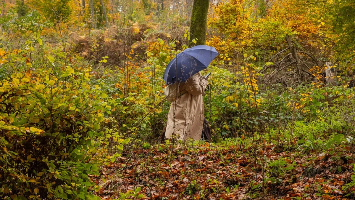 Was passiert diesen Monat?: Von Haftbefehl bis Kaminsky: Das steht im September an