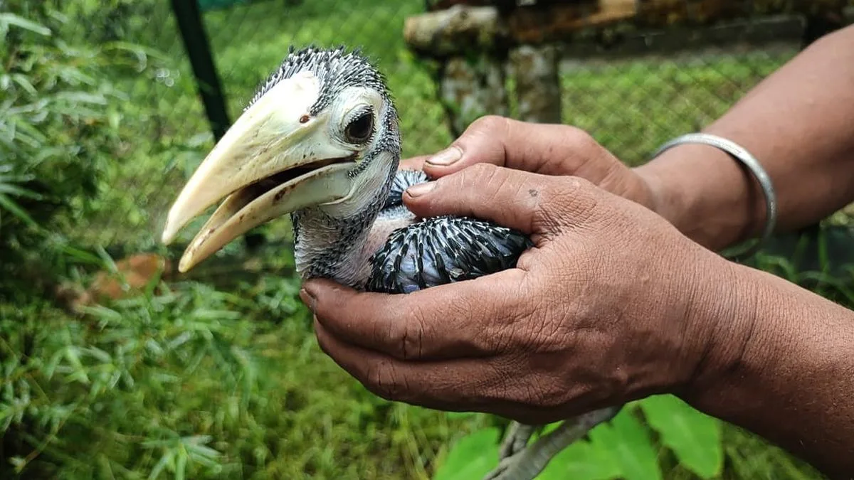 Assam’s CWRC marks 25 years of wildlife conservation