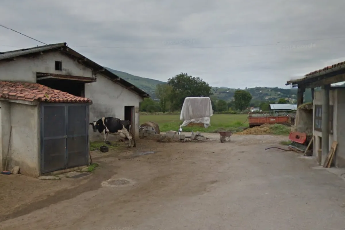 Muere un ganadero de 58 años tras sufrir la cornada de uno de sus toros en Saro (Cantabria)