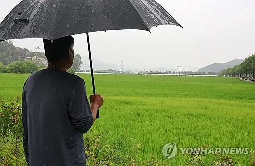 [날씨] 대체공휴일 곳곳 비·소나기…수도권 등 체감 33도 무더위도