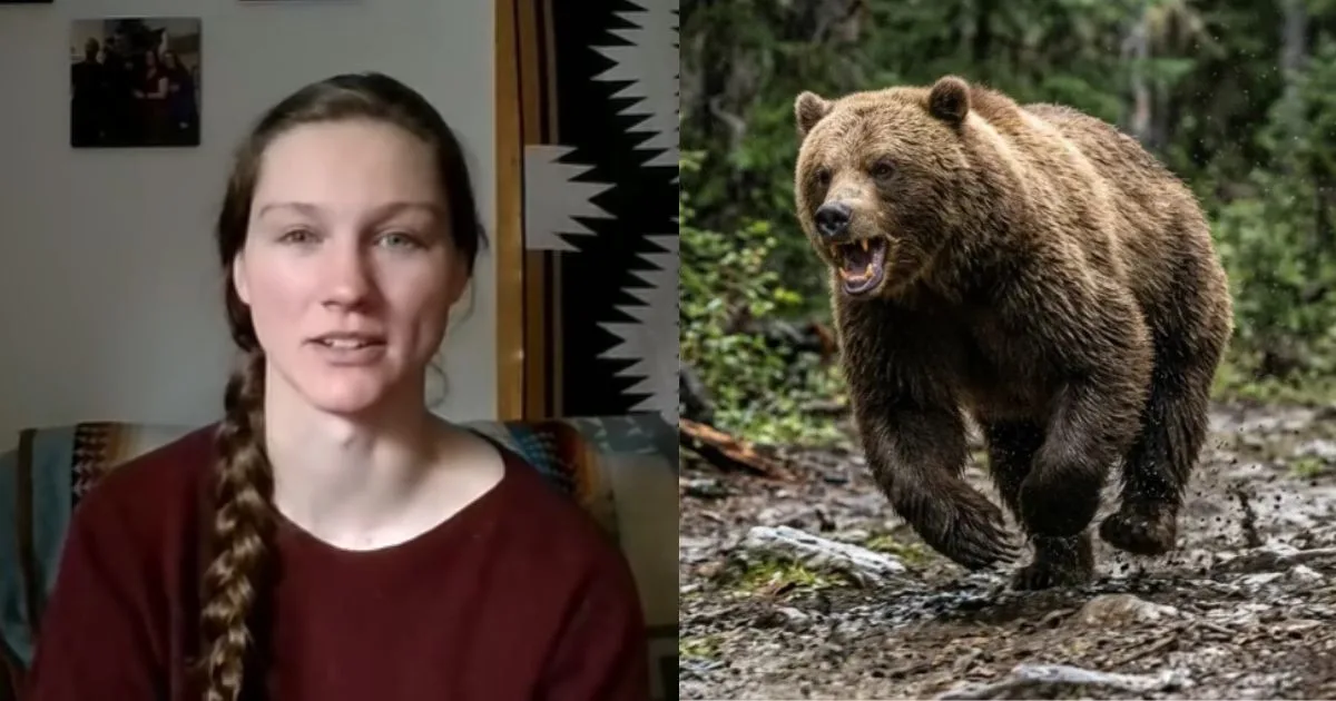 Enquanto caminhava, mulher é atacada por ursa-parda e consegue se salvar ao usar golpes de jiu-jítsu para chutar o rosto do animal após seu cão latir para distraí-la