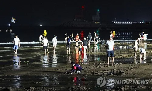 제주 북부·남부 해안 밤사이 열대야…북부 최저 26.5도