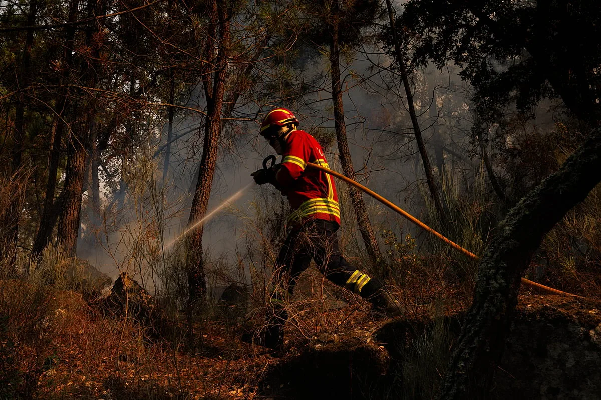 Incêndio queimou 2000 hectares de terreno em Torre de Moncorvo